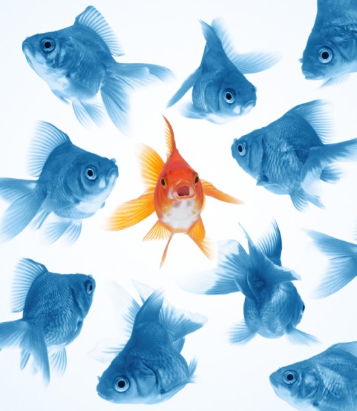 3 Things I Like About Difficult People
